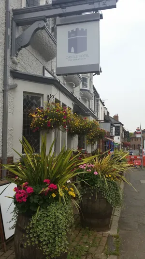 Image of Castle Hotel