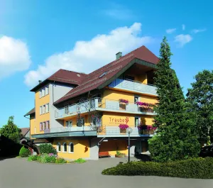 Image of Hotel Traube Lossburg