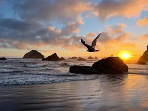 Image of Sunset Oceanfront Lodging