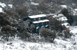 Image of Three Bears 2 - Thredbo