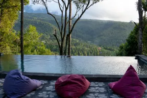 Image of Puri Sunny Guesthouse