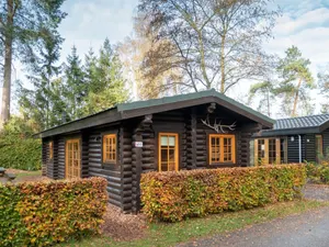 Image of Lodge With Terrace, Near De Veluwe National Park