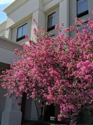 Image of Hampton Inn & Suites Cincinnati-Union Center
