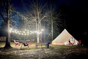 Image of Stunning 1-Bed Glamping Tent in Cleveland