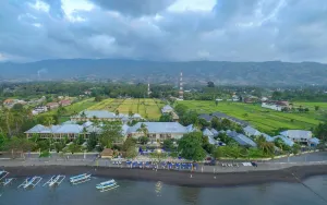 Image of The Lovina