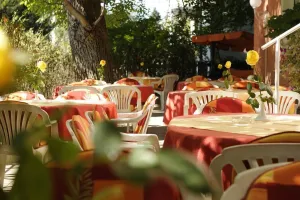 Image of Hotel Scherer
