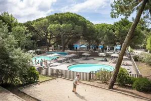 Image of Huttopia Ile de Ré - Chardons bleus