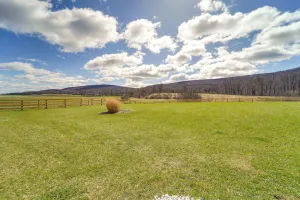 Image of Mtn-view Studio: 18 Mi to Penn State!
