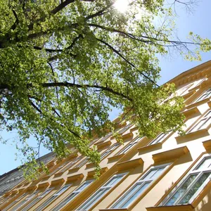 Image of Saint SHERMIN bed breakfast & champagne