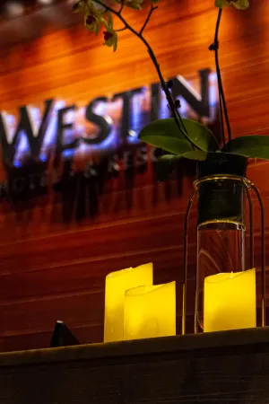 Image of The Westin Guangzhou