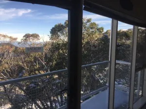 Image of Elkhorn 10 AMS Mt Buller