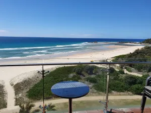 Image of Princess Palm on the Beach
