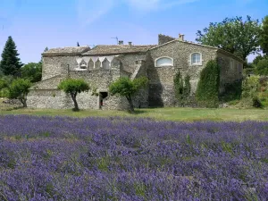 Image of La Ferme Les Eybrachas