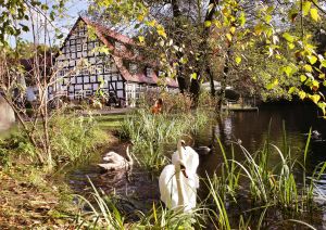 Image of Springbach-Mühle Belzig