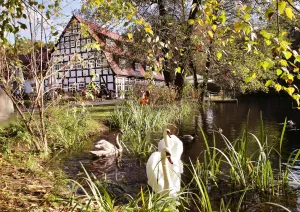 Image of Springbach-Mühle Belzig
