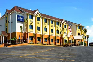 Image of Microtel Inn & Suites by Wyndham New Braunfels I-35