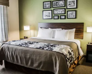 Image of Sleep Inn & Suites