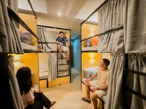 Image of Goofy Ants Hostel
