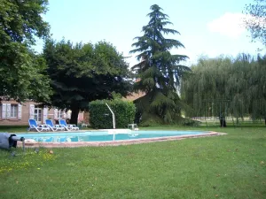 Image of Le Platane