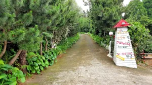 Image of Dreaming Forest Pension Seogwipo