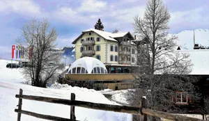 Image of The Alpina Mountain Resort