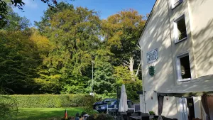 Image of Wald-Hotel