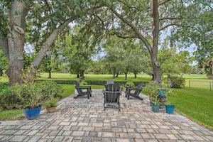 Image of Crystal River Gem Near Three Sisters Springs!