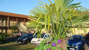 Image of Abel Hôtel