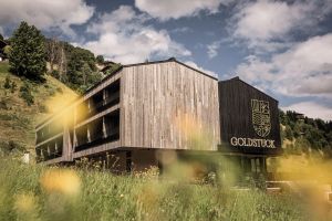 Image of Goldstück - Adults Only