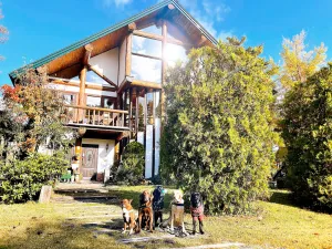 Image of Hakuba Log Hotel Meteor