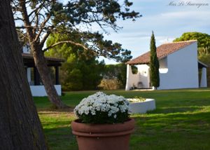 Image of Hôtel Mas le Sauvageon