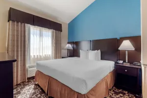 Image of Best Western Plus Arlington North Hotel & Suites