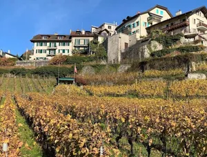 Image of La Vigneronne, Chailly-Montreux