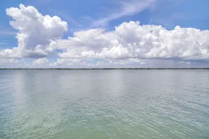 Image of Waterfront Nettles Island Beach House Pool Access