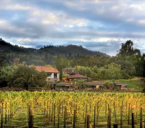 Image of Le Petit Pali St Helena