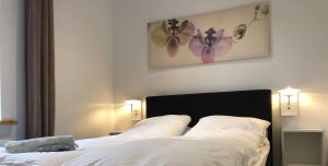Image of Davaa's Bed & Breakfast