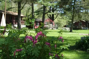 Image of Silver Spruce Resort