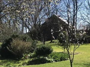 Image of Somerset Caravan Park