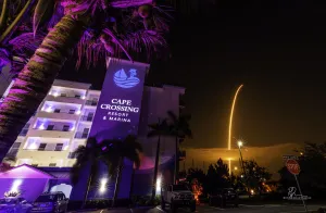 Image of Dolphins Vacation Rental