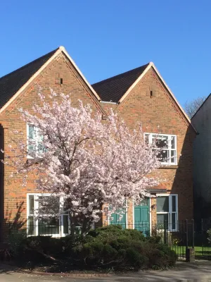 Image of Flat 4 Summertown Court