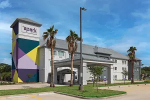 Image of Spark by Hilton Hammond