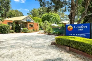 Image of Comfort Inn Coach & Bushmans