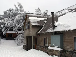 Image of Bollygums - Thredbo