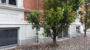 Image of Thorsgade 1A