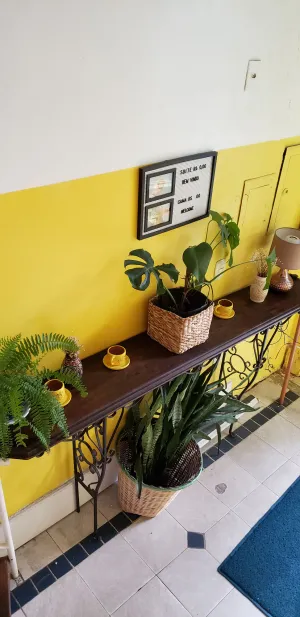 Image of Antonieta Hostel e Bistro