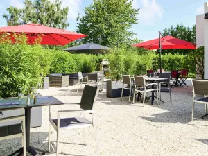 Image of ibis Abbeville