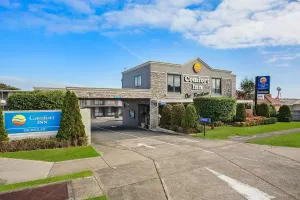 Image of Comfort Inn On Raglan