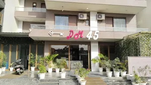 Image of DM 45