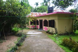 Image of Lawachara Eco Cottage