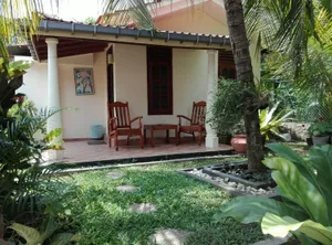 Image of Amara Guest
